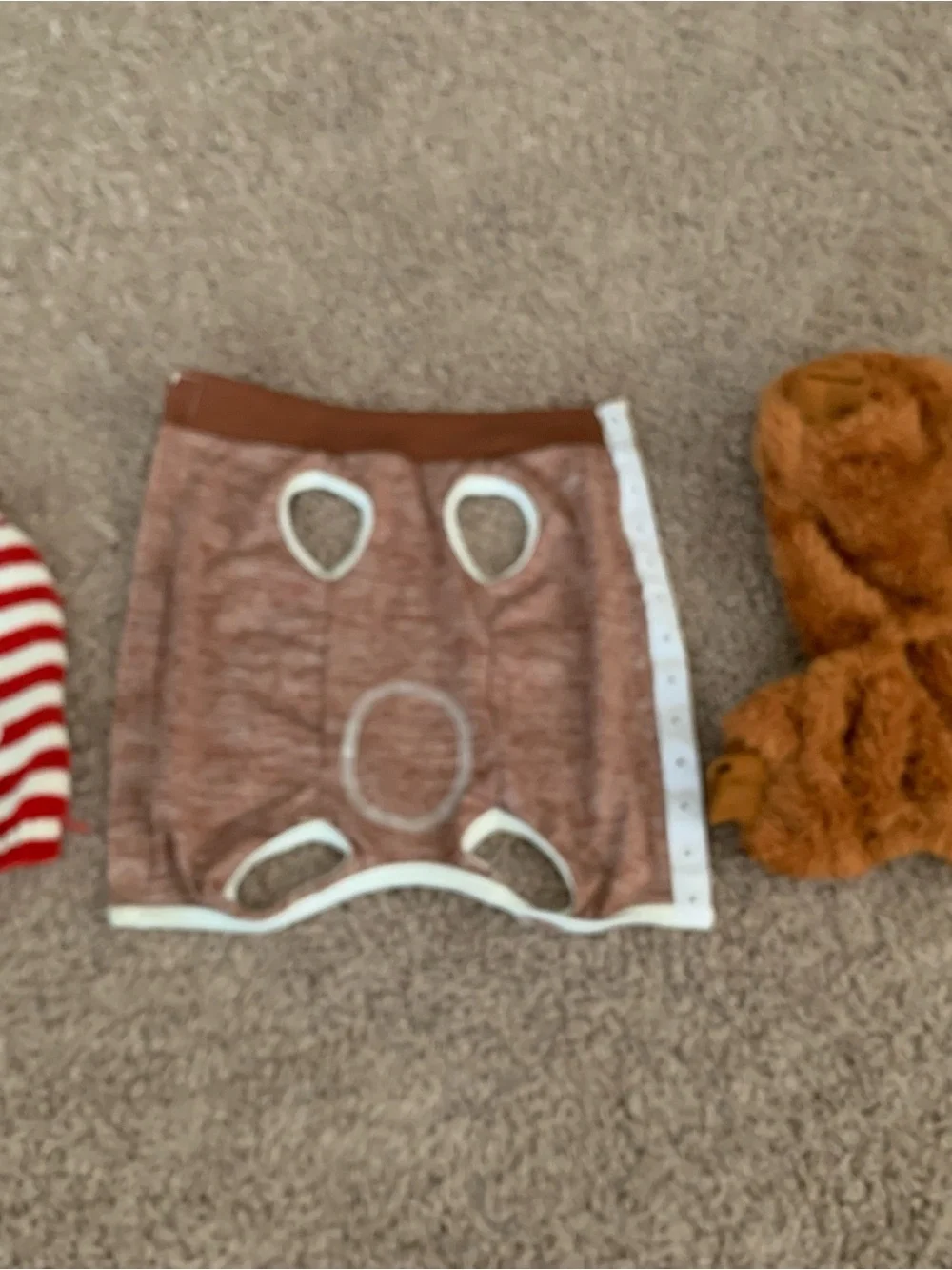 Dog Clothes Accessories Set of 3